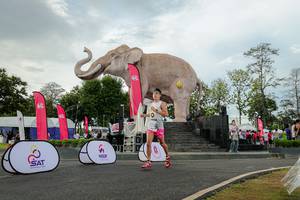 BIB: 
                            <button type="button" onclick="openModal(26528406)" class="btn btn-primary btn-sm float-right btn-popup" data-toggle="modal" data-target=".modal-high-quality">
                        <i class="fas fa-shopping-cart"></i> Add to Cart
                    </button>
                                            <button type="button" onclick="isThisMe(26528406, true)" class="btn btn-success btn-sm float-right btn-popup btn-isme hidden" data-toggle="tooltip" data-placement="bottom" title="นี่คือรูปของคุณใช่ไหม คลิกที่นี่เพื่อเอาเข้าอัลบั้ม">
                        <i class="fas fa-plus"></i> Add to album
                    </button>
                    <button type="button" onclick="isThisMe(26528406, false)" class="btn btn-warning btn-sm float-right btn-popup btn-isnotme hidden">
                        <i class="fas fa-ban"></i> Remove from album
                    </button>